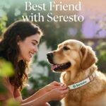 best flea collar for dogs 2026