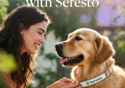 best flea collar for dogs 2026