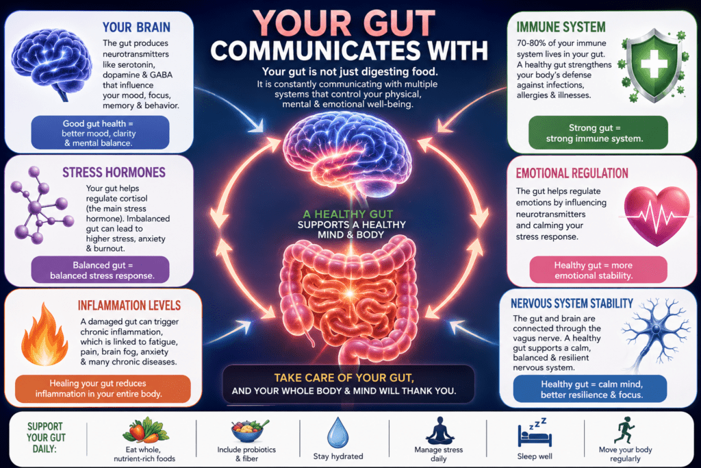 Gut communicating with brain